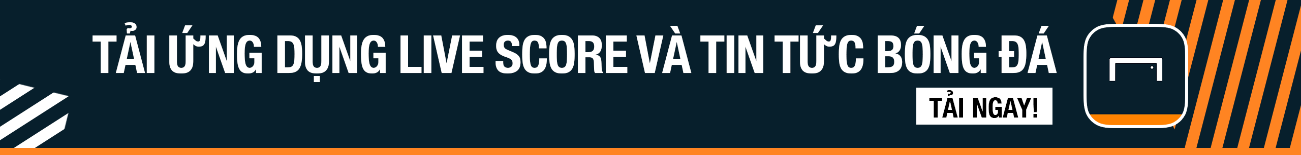 展望未来 展望未来